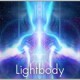 lightbody